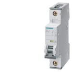 Siemens 5SY7106-6KK13