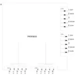 Siemens 3RK1325-6LS71-0AA0 - Image 5