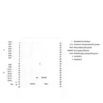 Siemens 6ES7521-1BH00-0AB0 - Image 4