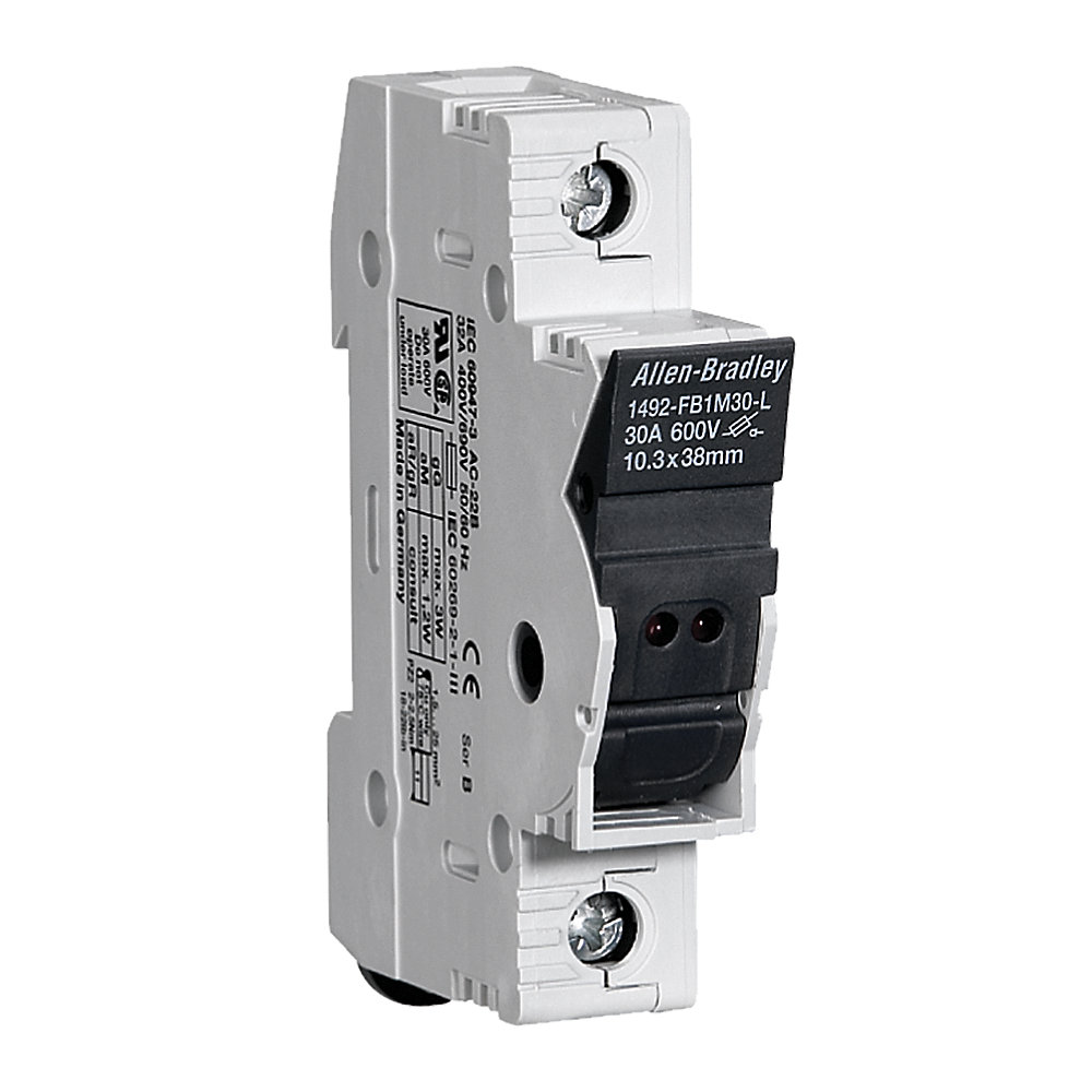 1492-FB1C30.jpg Rockwell Automation / Allen-Bradley 1492-FB1C30 - Image 1