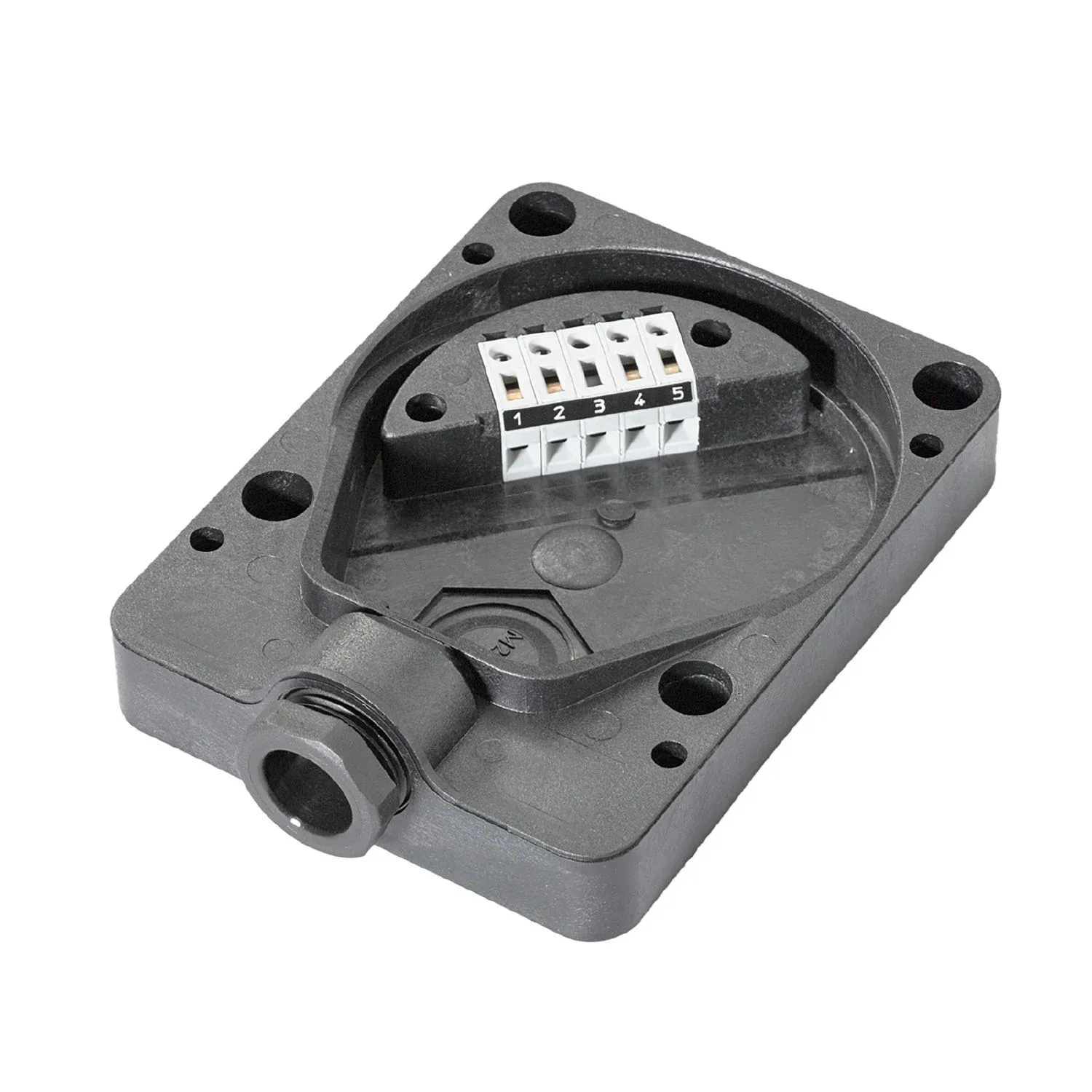 E10596_v1.webp IFM E10596 - Image 1