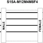 Banner Engineering S15A-M12M4M8F4