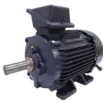 Acim Nidec IEC Motors