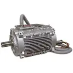 Acim Nidec LSHT / FLSHT