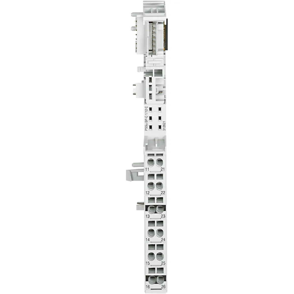 sha256_793d4b437498f6f8ec4644c1ee90eed9d7881d44f3ec6455fd8943dc427e6662.webp Pilz 312621 - Image 1