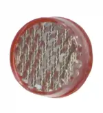 Pepperl Fuchs REF-S20F