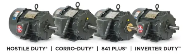 Acim Nidec World Motor Horizontal Motors