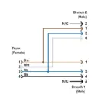 Banner Engineering CSA-M12F41M12M41 - Image 2