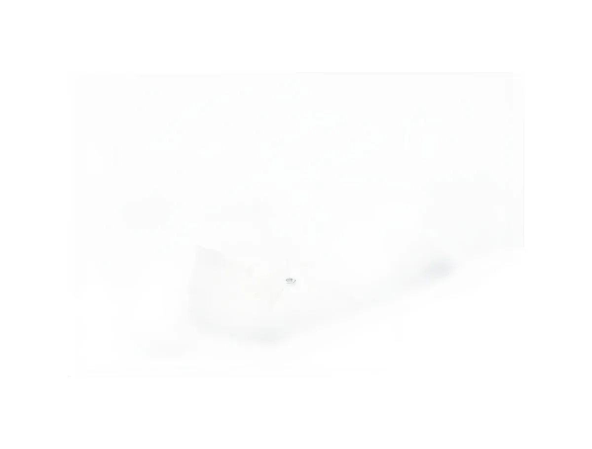 Kuka 100320 - Image 3