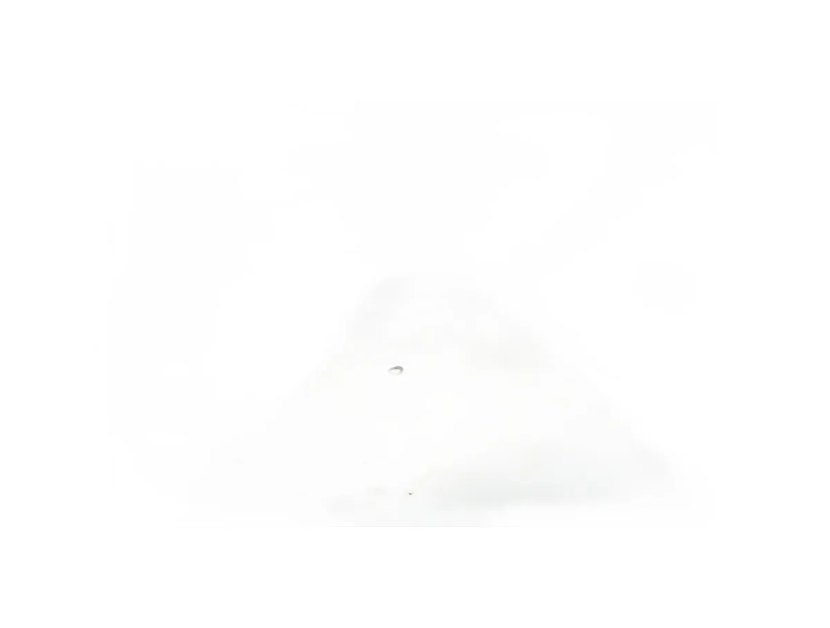 Kuka 100981 - Image 5