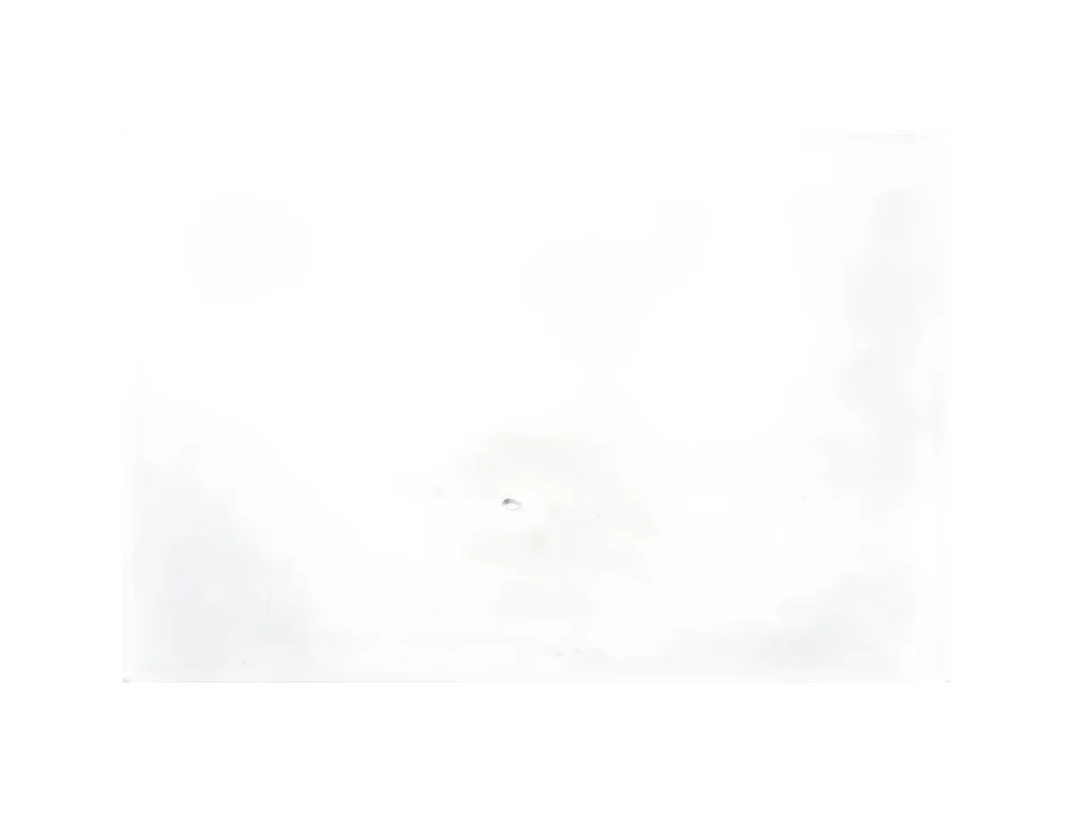 Kuka 100981 - Image 9