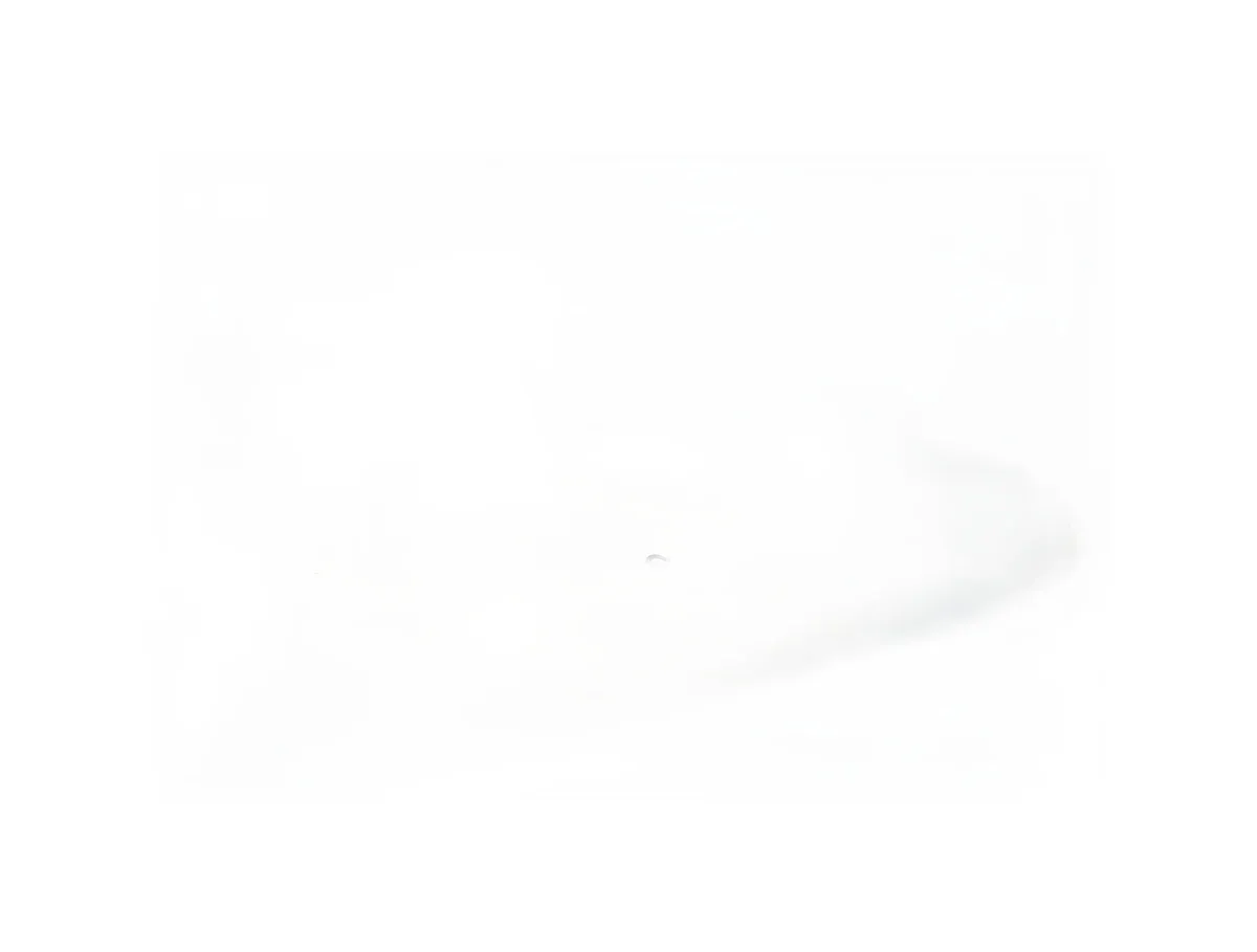 Kuka 100981 - Image 4