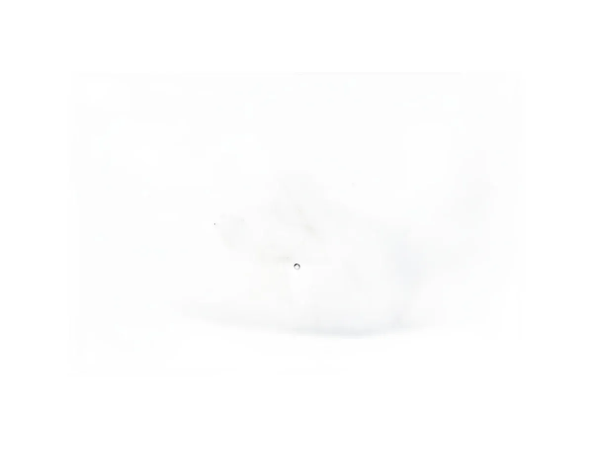 Kuka 100981 - Image 3