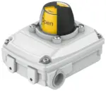 Festo SRBC-CA5-YR90-MW-1-1WG-C2-EX6