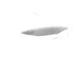 Kuka 127835 - Image 4