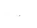 Kuka 153483 - Image 11