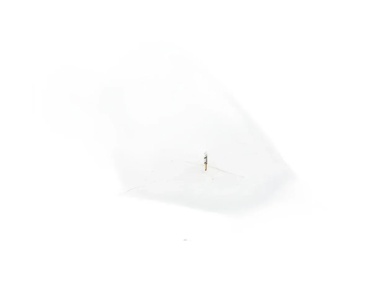 Kuka 147341 - Image 6