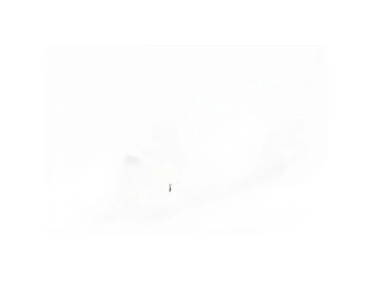 Kuka 144672 - Image 16