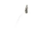 Kuka 144672 - Image 7