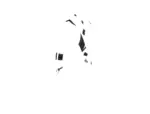 Kuka 147358 - Image 19