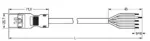 Wago 891-8985/216-502 - Image 2