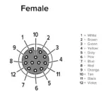 Banner Engineering BC-M12F12-M12M12-24-2 - Image 2