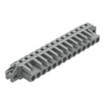 Wago 232-244/031-000