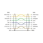 Banner Engineering BCD-RJ45 RJ45-2M - Image 2