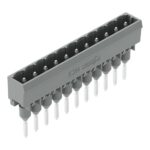 Wago 231-171/003-000