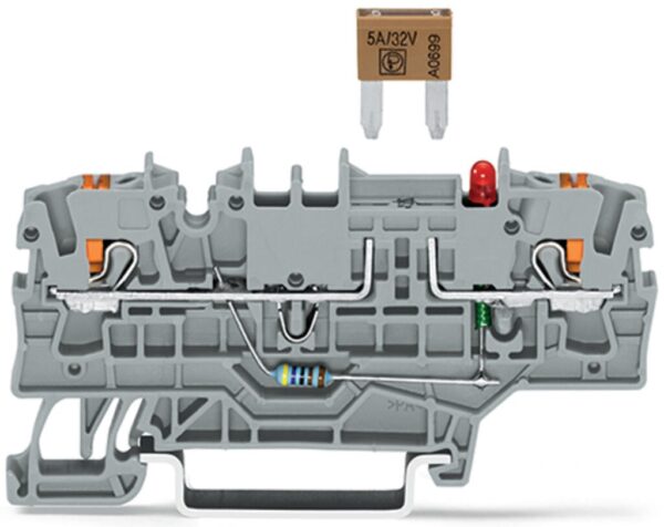 Wago 2202-1981/1000-429